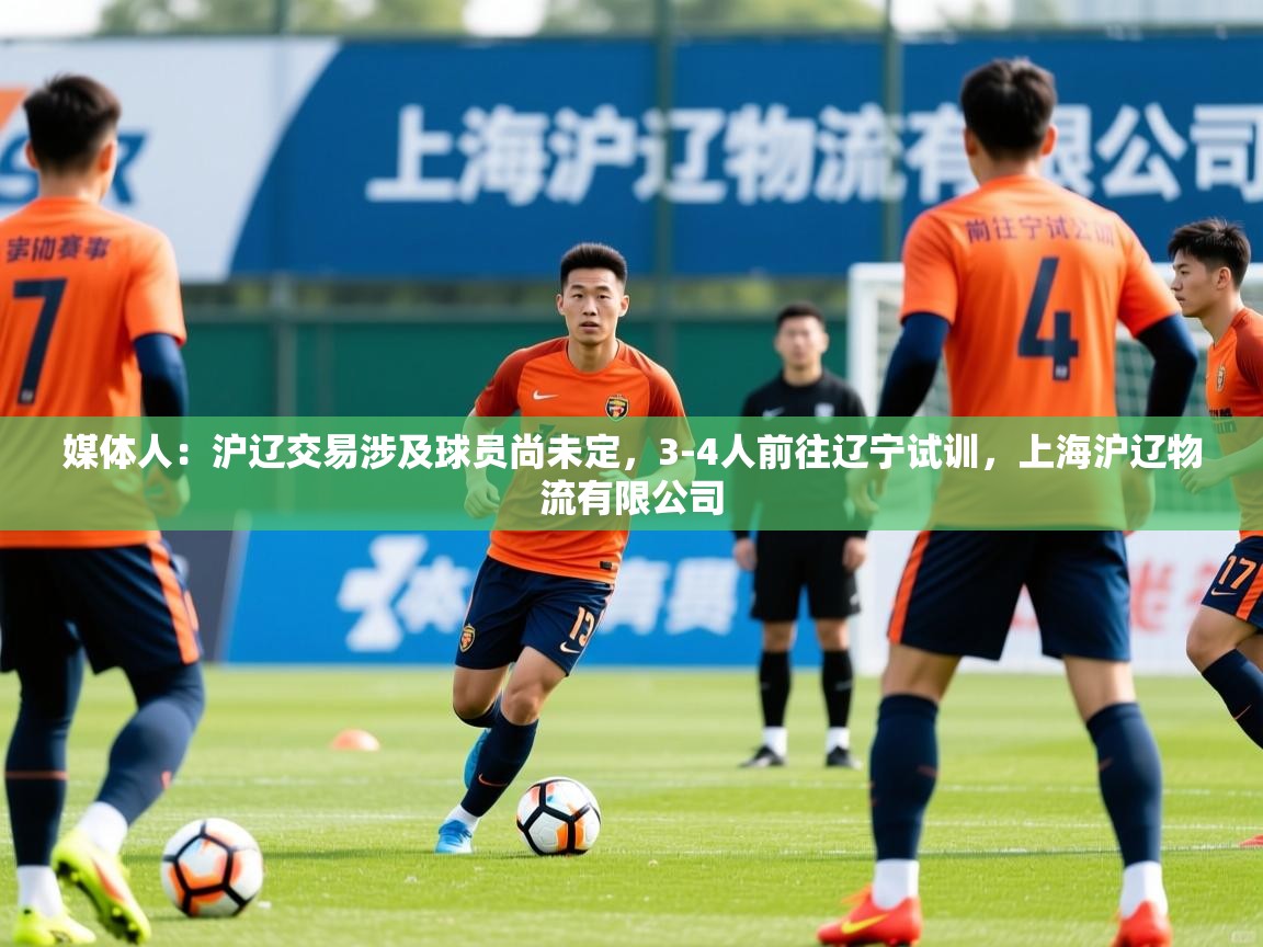 2025米兰体育平台怎么样媒体人:沪辽交易涉及球员尚未定,3-4人前往辽宁试训,上海沪辽物流有限公司 第2张