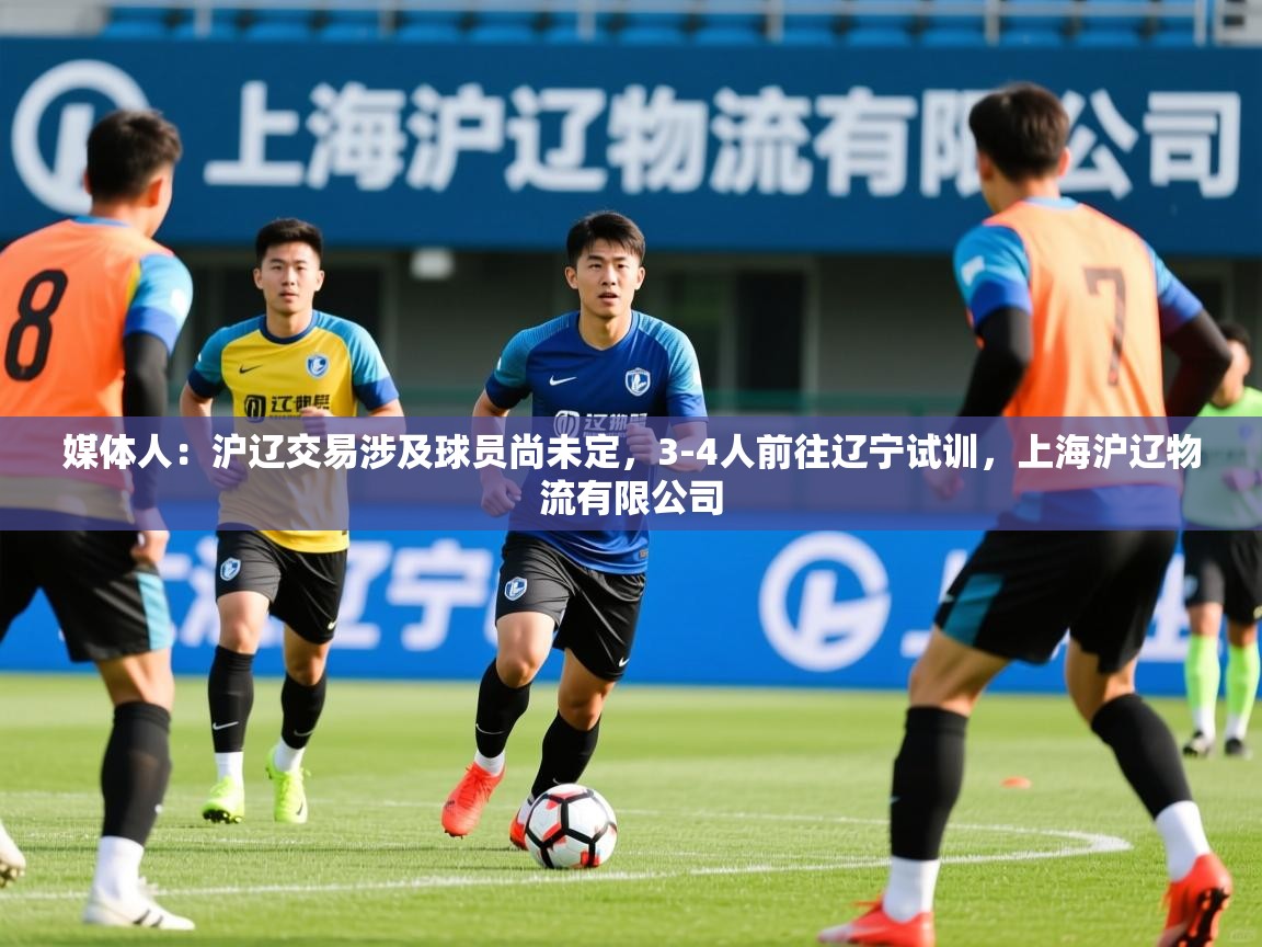 2025米兰体育平台怎么样媒体人:沪辽交易涉及球员尚未定,3-4人前往辽宁试训,上海沪辽物流有限公司 第3张