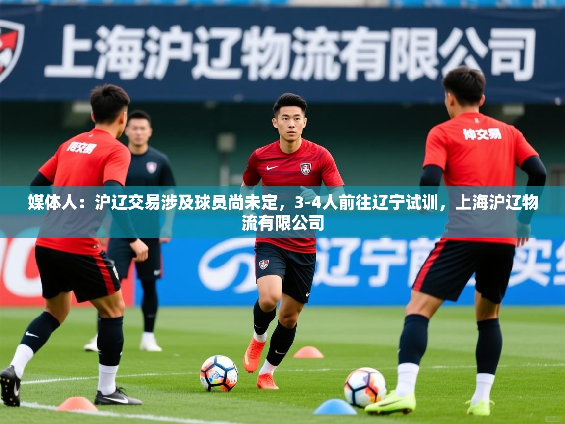 2025米兰体育平台怎么样媒体人:沪辽交易涉及球员尚未定,3-4人前往辽宁试训,上海沪辽物流有限公司 第4张