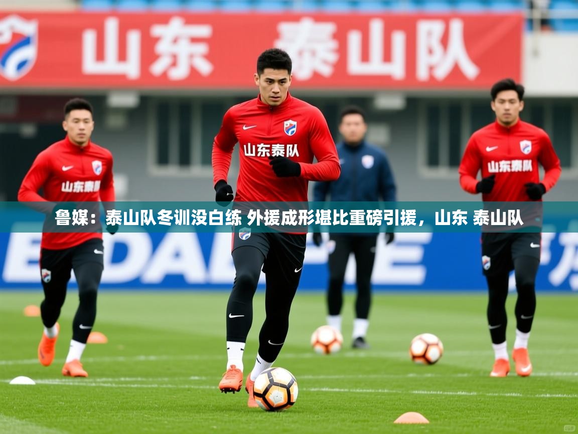2025米兰体育平台登录入口鲁媒：泰山队冬训没白练 外援成形堪比重磅引援，山东 泰山队  第4张