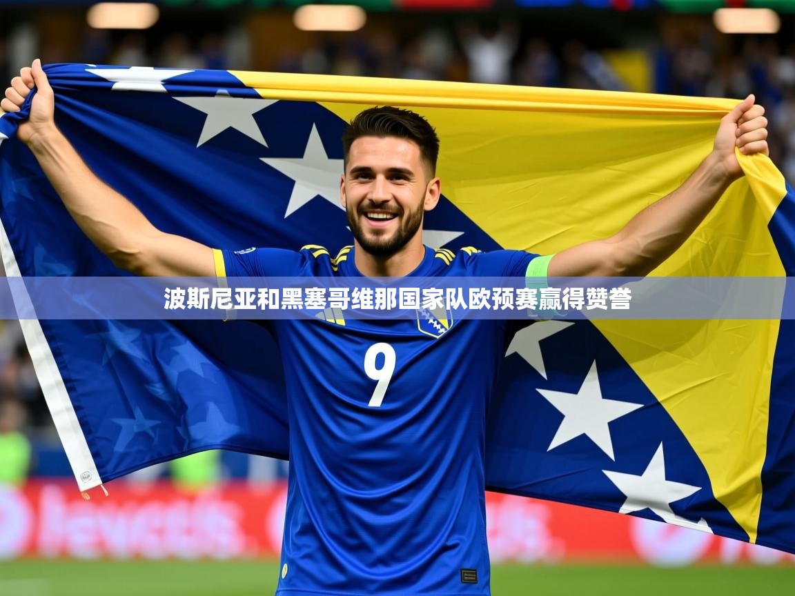 2026米兰体育网页版登录波斯尼亚和黑塞哥维那国家队欧预赛赢得赞誉  第1张