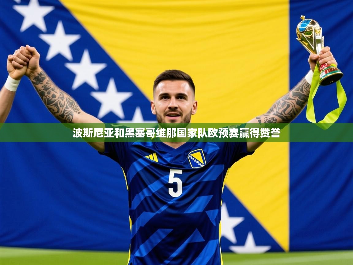 2026米兰体育网页版登录波斯尼亚和黑塞哥维那国家队欧预赛赢得赞誉  第2张