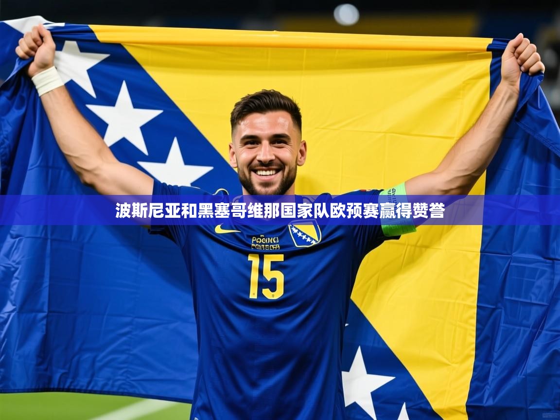 2026米兰体育网页版登录波斯尼亚和黑塞哥维那国家队欧预赛赢得赞誉  第3张