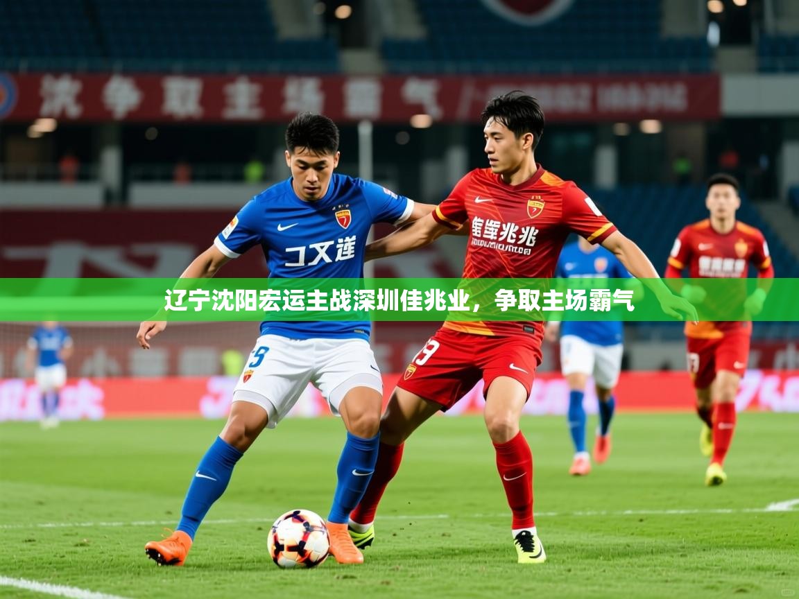 2026米兰体育网页版登录辽宁沈阳宏运主战深圳佳兆业，争取主场霸气  第4张
