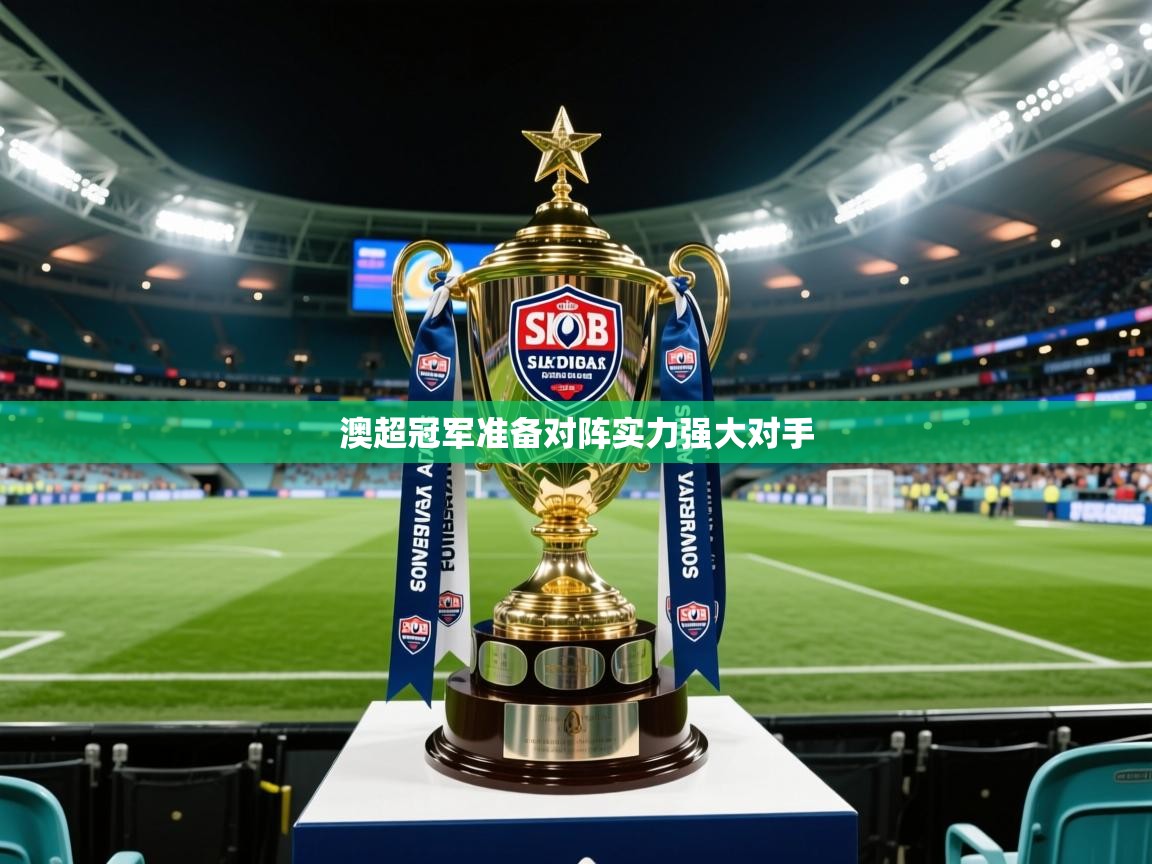 2026米兰体育平台登录入口澳超冠军准备对阵实力强大对手  第2张