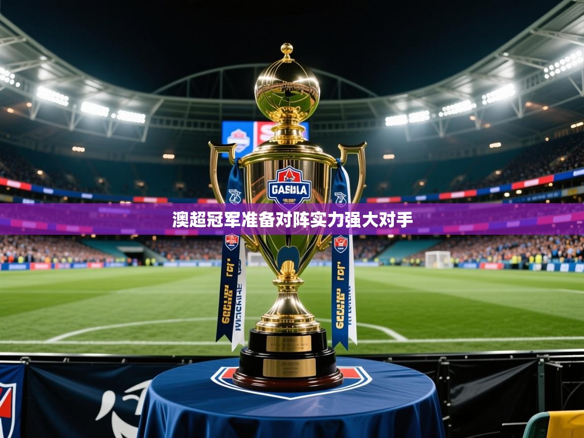 2026米兰体育平台登录入口澳超冠军准备对阵实力强大对手  第3张