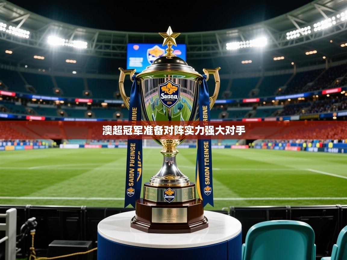 2026米兰体育平台登录入口澳超冠军准备对阵实力强大对手  第4张